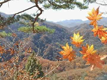 新澳门开奖结果 开奖结果与北京暴雨故宫再现千龙吐水和北京暴雨故宫奇观